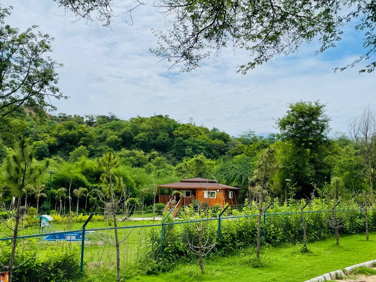 Timber cottage framed by dense green forest of the Shivalik foothills